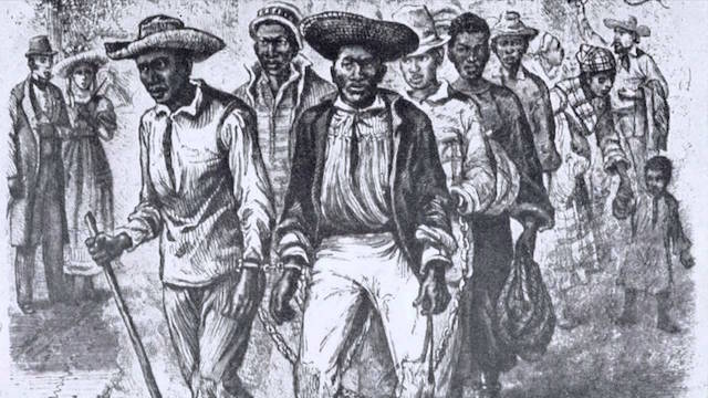 Nat Turner Revolution